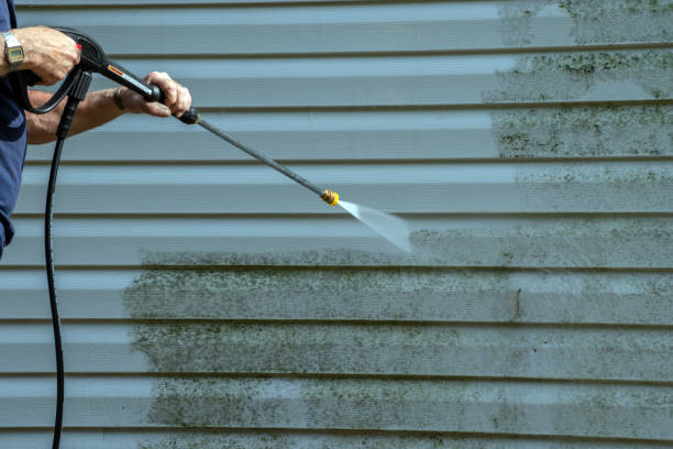 Best Affordable Power Washing  in Galesburg, MI